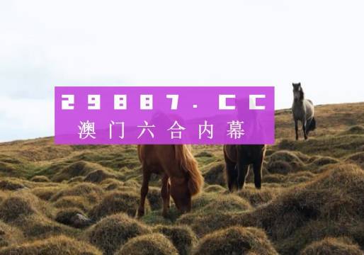澳門今晚開獎什么，揭秘彩票背后的秘密與策略分析，澳門彩票開獎揭秘，策略分析與秘密探索