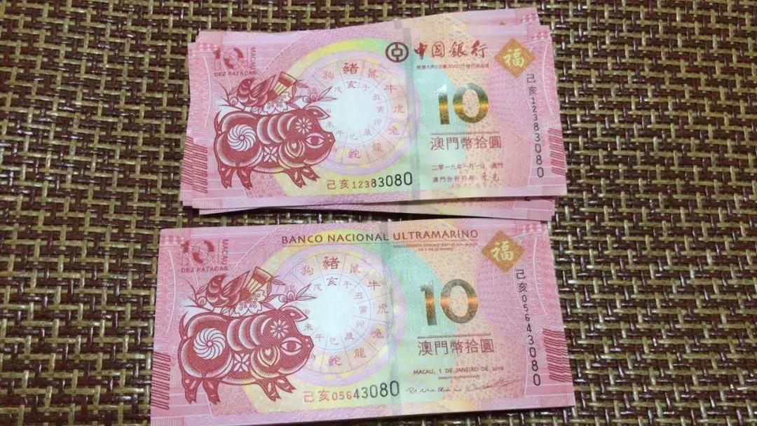 新澳門生肖走勢圖，深度解析與預(yù)測，澳門生肖走勢圖深度解析及預(yù)測報告