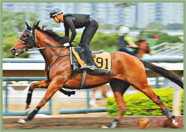 香港賽馬，探索數(shù)字背后的激情與榮耀，香港賽馬，數(shù)字背后的激情與榮耀之旅