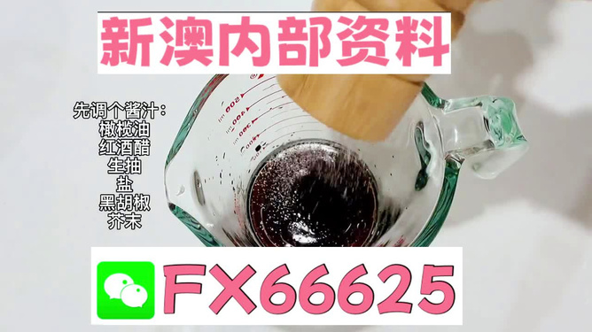 2025年新澳正版免費料，全面解析與獨家資訊，獨家解析，揭秘新澳正版免費料獨家資訊至2025年