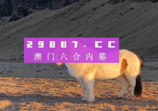 澳門天天彩資料正版免費特色快8，探索彩票世界的魅力與機遇，澳門天天彩正版特色快8，彩票世界的魅力與機遇探索