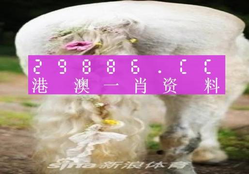 澳門羊了個羊與各大圖庫的資料揭秘，2023年澳門今晚必中一肖一碼永久免費資料庫大解密，澳門羊了個羊與資料庫揭秘，2023年必中一肖一碼永久免費資料大解密