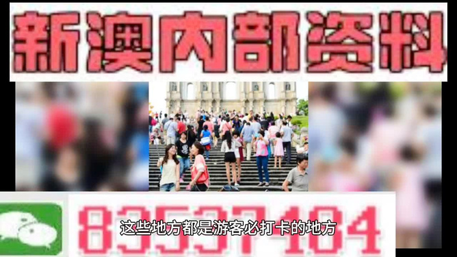 新澳天天開獎資料大全旅游團——探索澳門的魅力之旅，澳門魅力探索之旅，新澳天天開獎資料大全旅游團