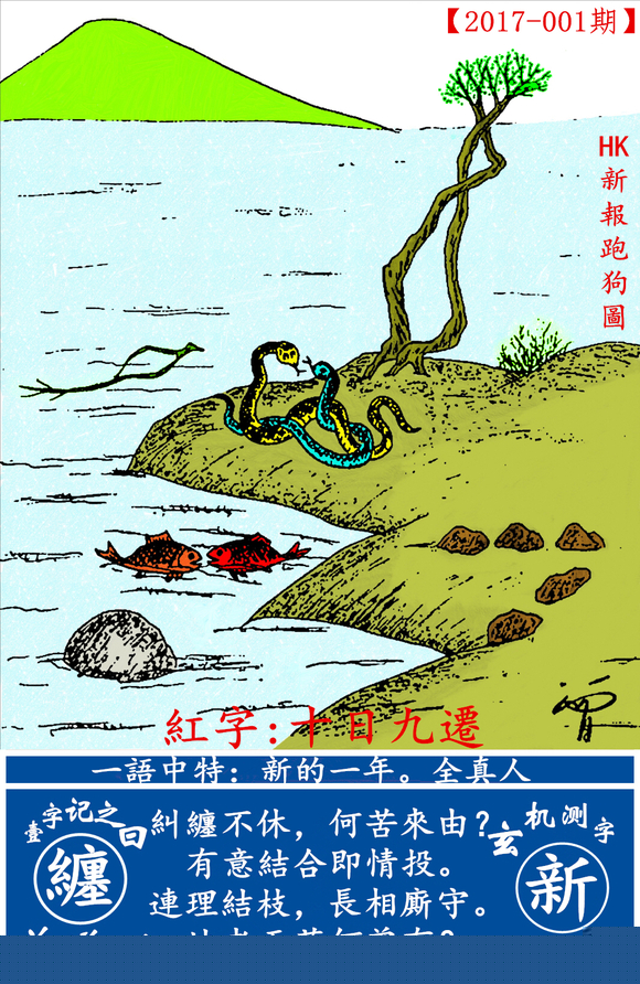 探索全新版跑狗圖，7777788888的魅力與策略，探索全新版跑狗圖，7777788888的魅力與攻略解析