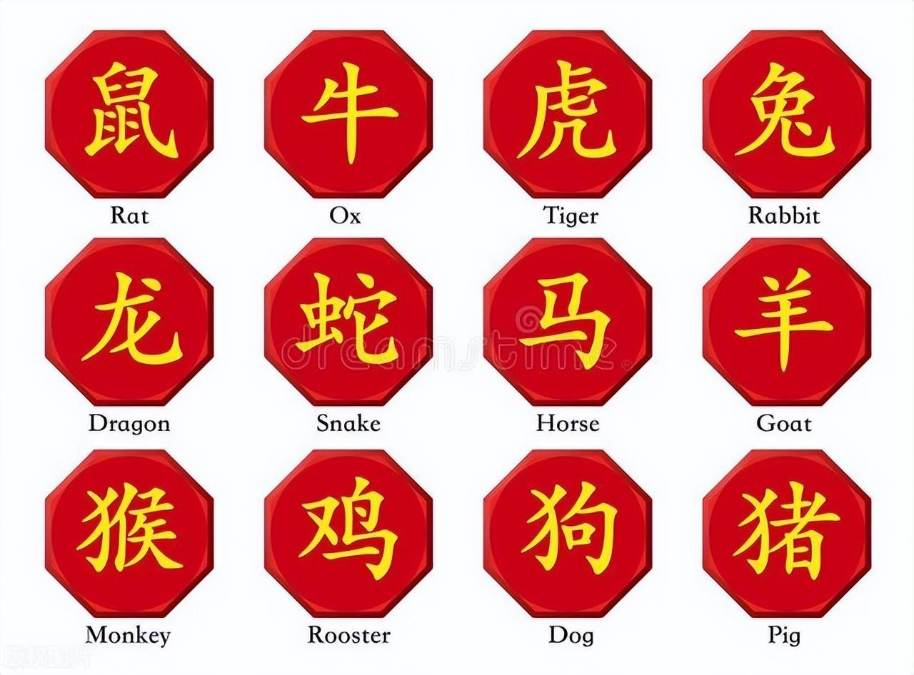 新澳特碼，羊?；⒏鲾?shù)10——揭秘背后的數(shù)字奧秘，揭秘新澳特碼數(shù)字奧秘，羊?；⒏鲾?shù)背后的秘密
