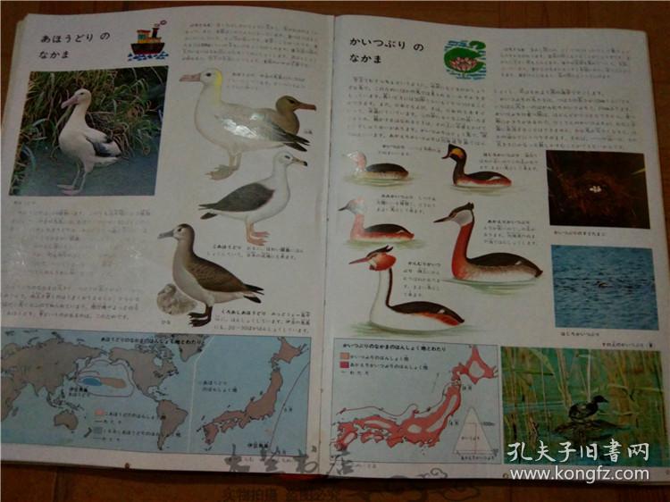 今日正版跑狗圖分享，探索7777788888跑狗圖的魅力，今日正版跑狗圖分享，探索魅力十足的777778跑狗圖