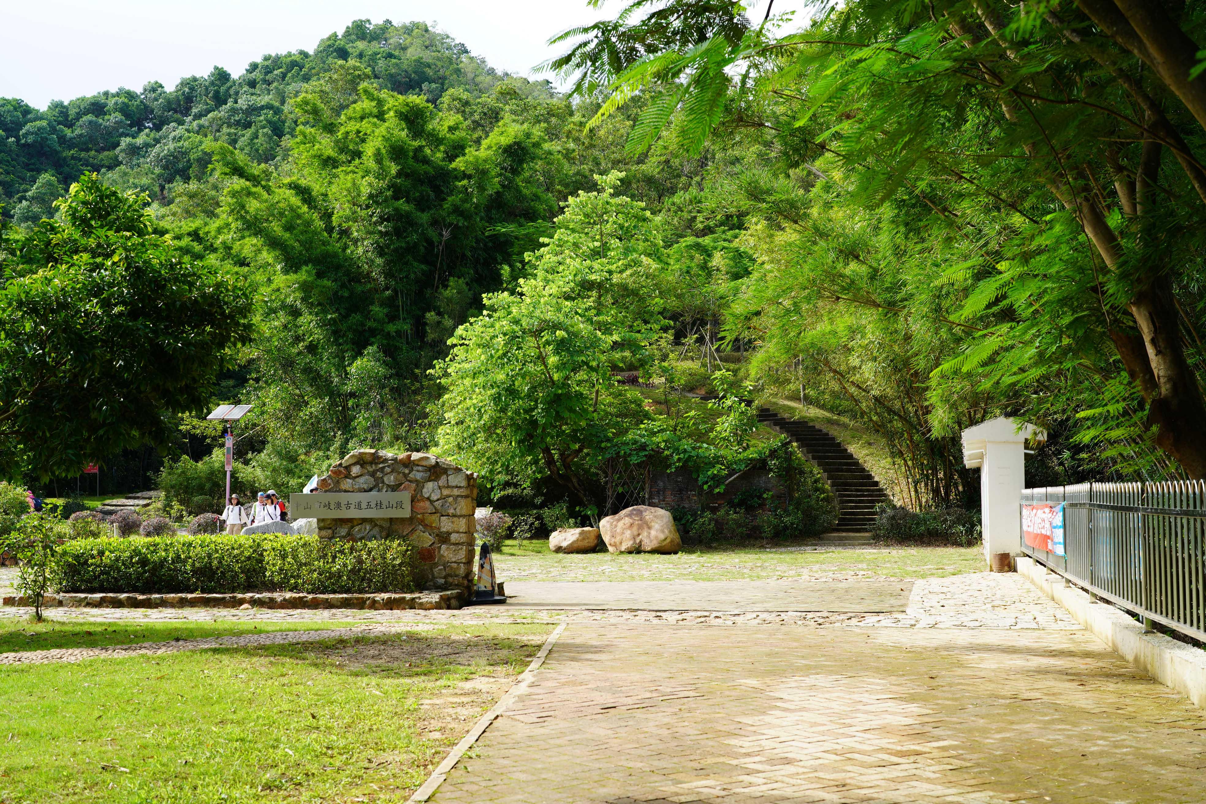 新澳門彩生肖走勢圖，探索與解讀彩票背后的秘密，探索解讀新澳門彩生肖走勢圖，彩票背后的秘密揭秘