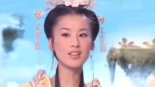 曾道道人資料免費大全，深度探索與解析，曾道道人資料深度解析與免費大全探索
