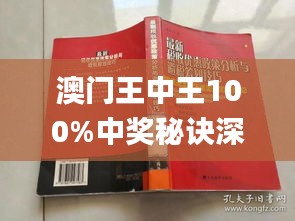 新澳門王中王期期中，探索與解析，新澳門王中王期期中，深度探索與解析