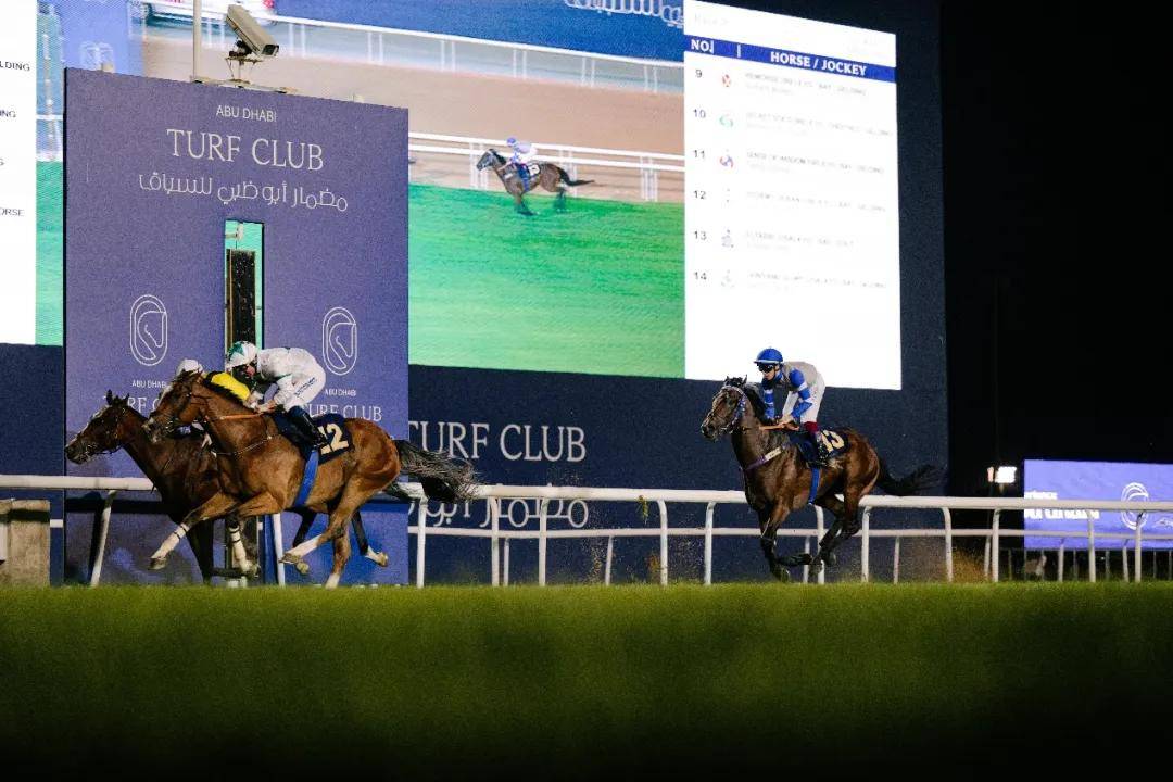 澳門特馬今晚開獎一，探索彩票背后的秘密與期待，澳門特馬今晚開獎，揭秘彩票背后的秘密與期待大獎的激動心情