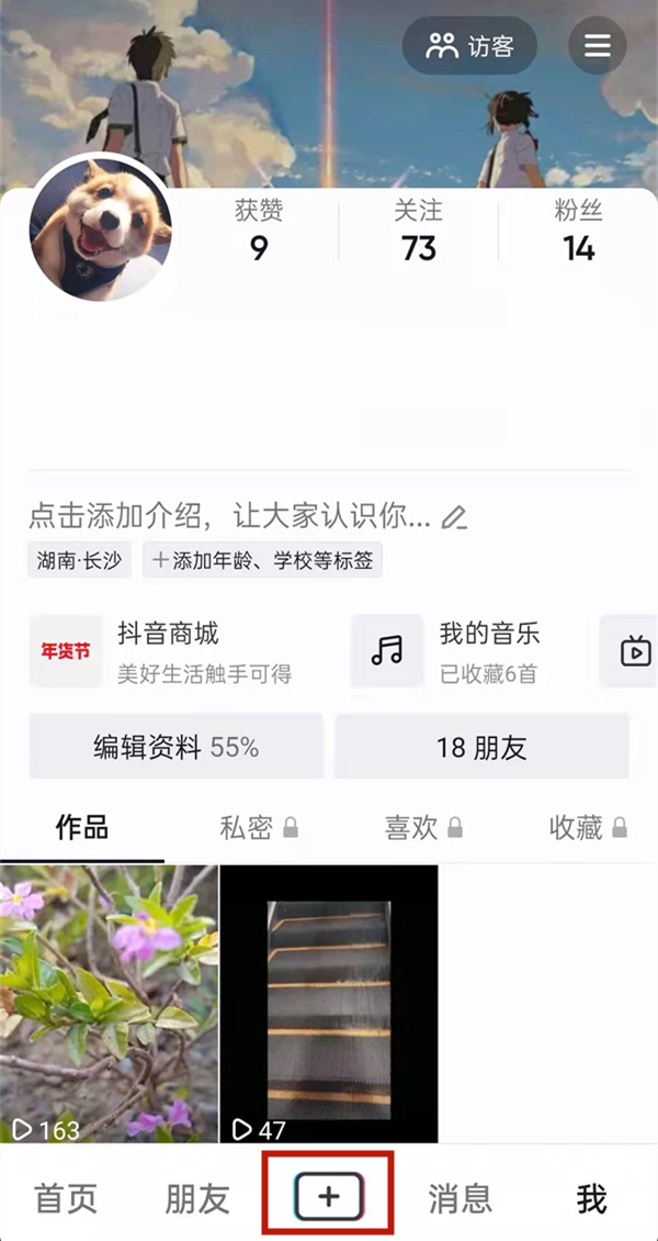 白小姐的精準免費四肖，揭秘背后的秘密，揭秘白小姐精準免費四肖背后的秘密