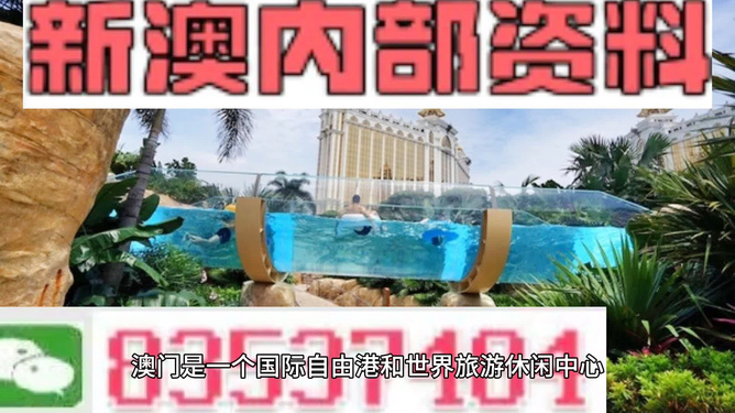 新澳的資料去哪里找——全面指南，新澳資料全攻略，尋找資料的途徑與指南