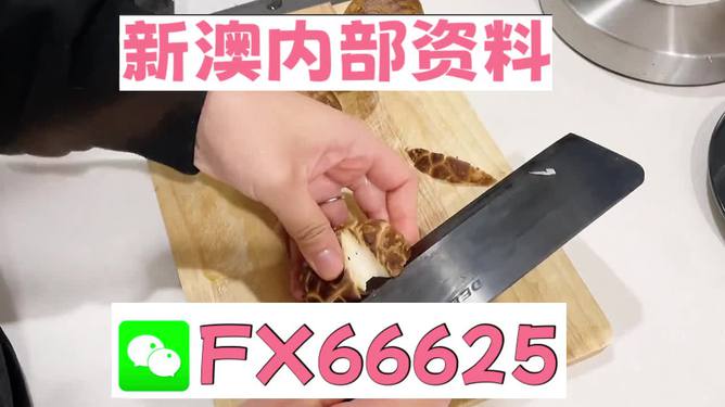 澳門九點(diǎn)半9點(diǎn)半網(wǎng)站——探索其魅力與優(yōu)勢(shì)，澳門九點(diǎn)半網(wǎng)站，魅力與優(yōu)勢(shì)探索