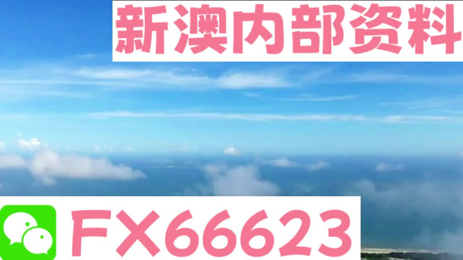 新澳106期資料詳解與SEO優(yōu)化策略，新澳106期資料詳解與SEO策略優(yōu)化指南