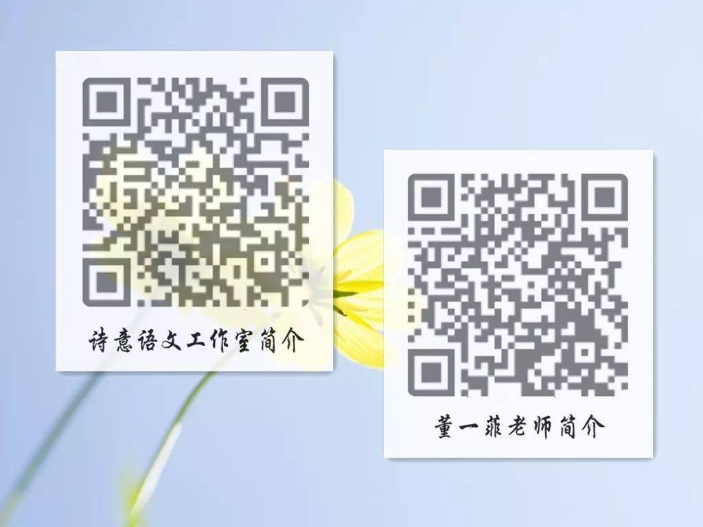 一碼一肖一特一，揭秘背后的秘密與獨特之處，揭秘一碼一肖一特一的獨特之處與背后秘密
