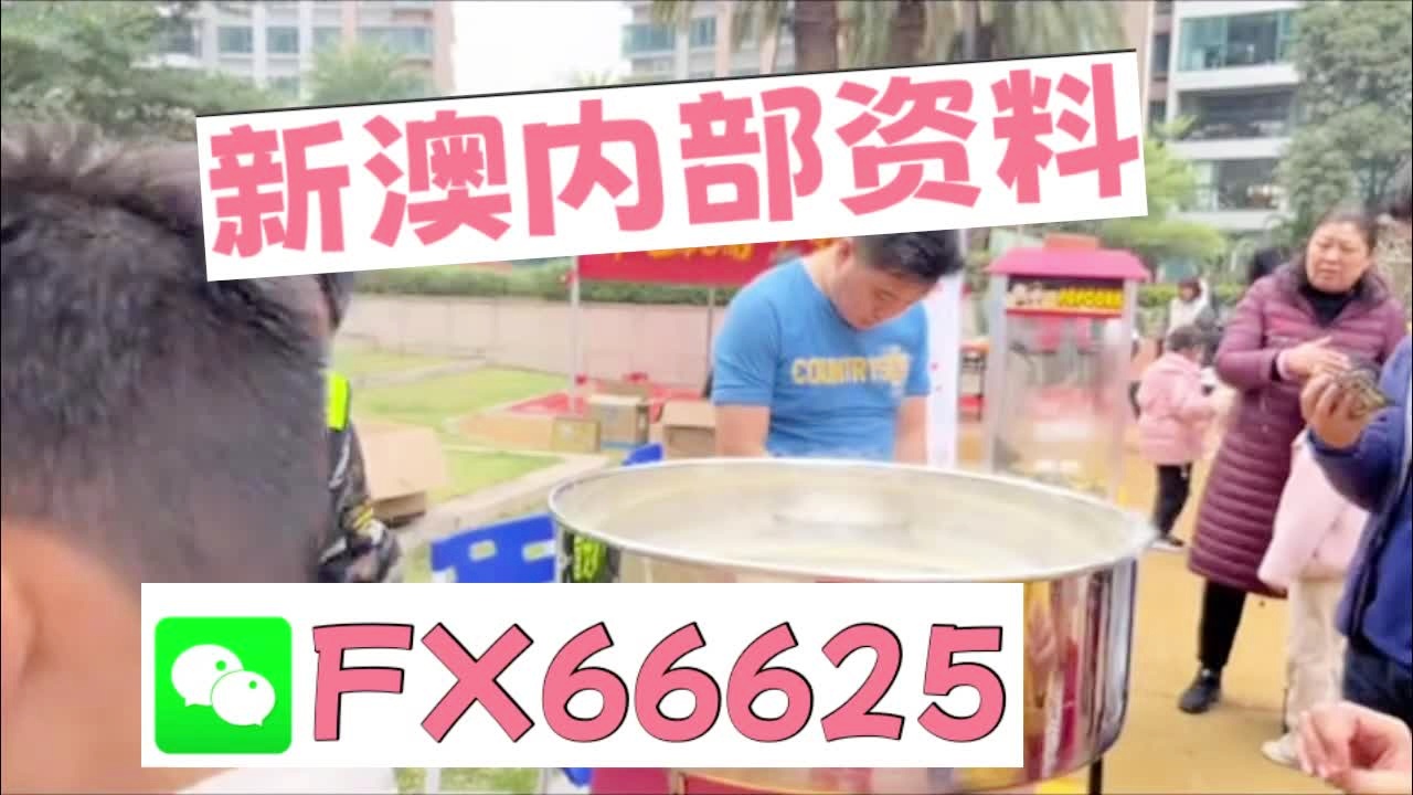 新澳2025芳草地資料大全，深度解析與前瞻性展望，新澳2025芳草地，資料深度解析與前瞻性展望