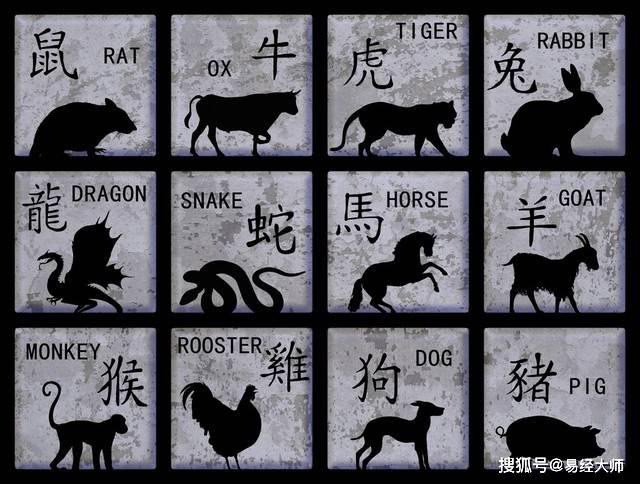 新澳特碼，羊牛虎各數(shù)10的獨(dú)特魅力與解析，新澳特碼，羊牛虎各數(shù)10的獨(dú)特魅力深度解析
