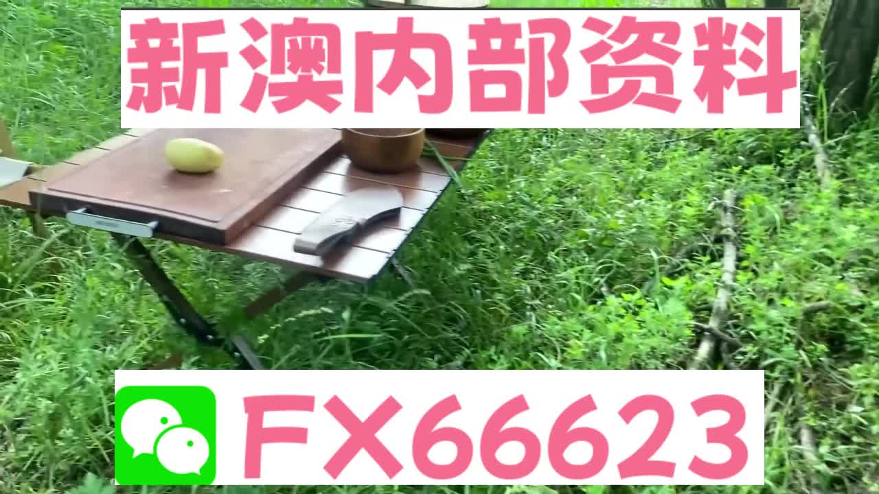 新奧特碼走勢圖解析與預測，新奧特碼走勢圖解析與預測，未來趨勢探討