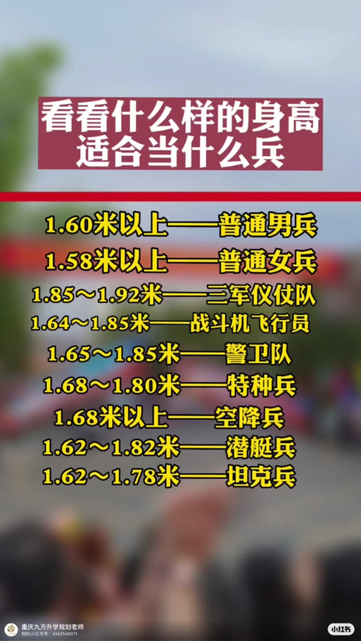 儀仗兵身高標(biāo)準(zhǔn)，探究與解析，儀仗兵身高標(biāo)準(zhǔn)，探究與詳解