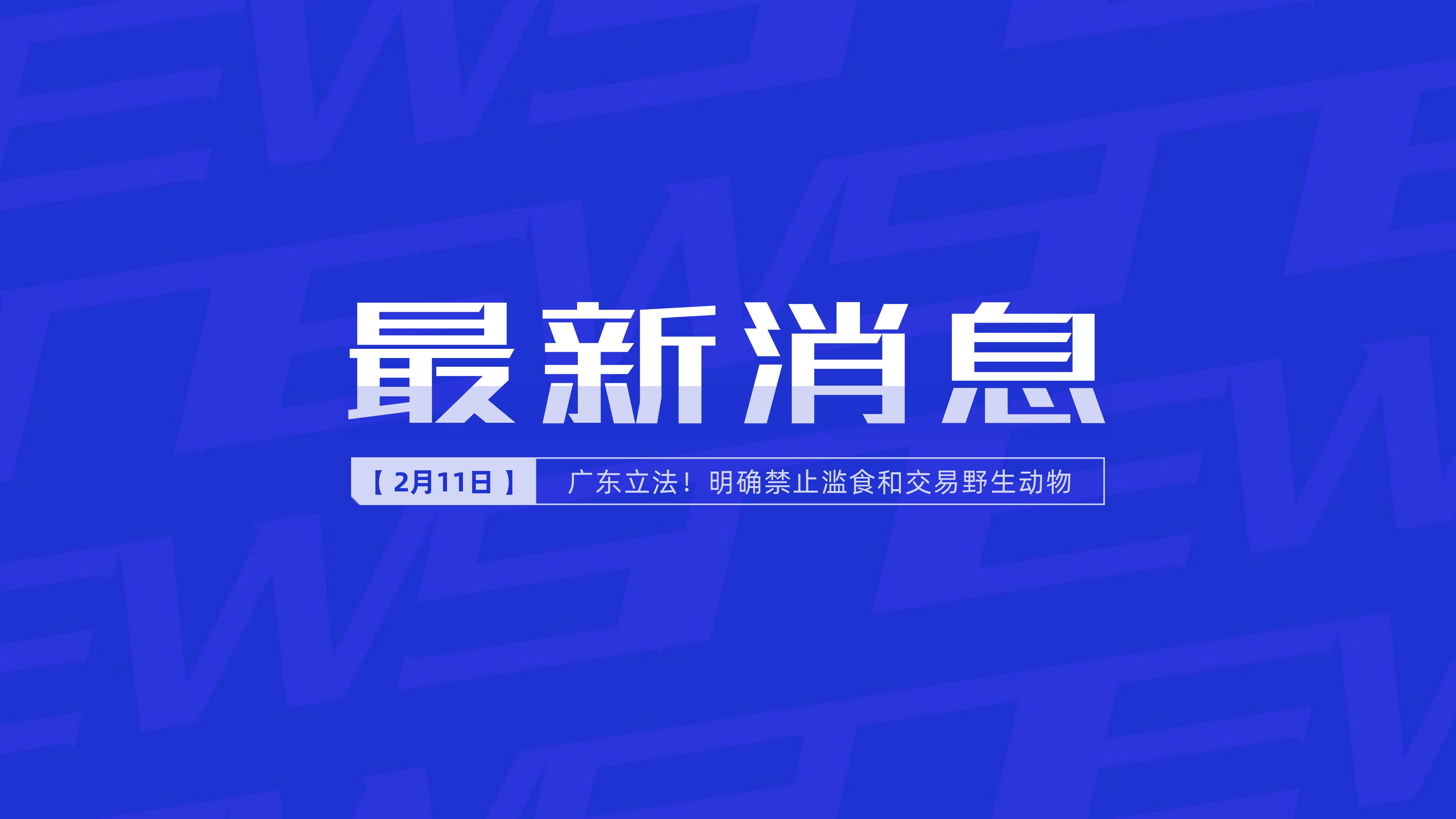 新聞最新新聞，掌握時事熱點，洞悉世界動態(tài)，時事熱點速遞，掌握全球最新動態(tài)新聞