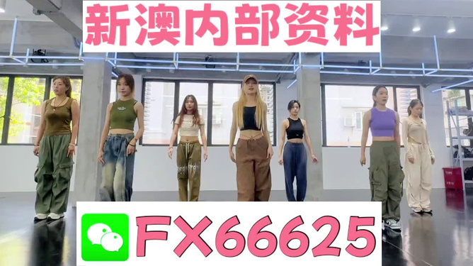 新澳持碼會資料詳解，新澳持碼會資料全面解析
