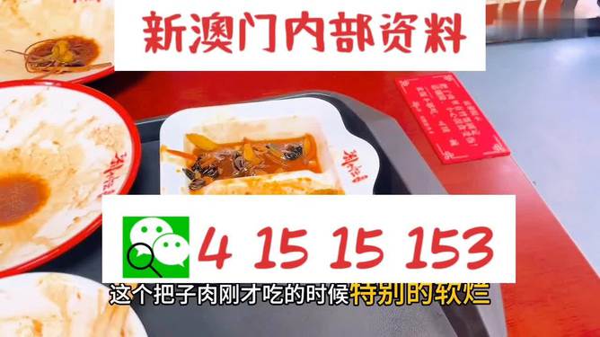 澳門王中王六碼新澳門，探索與解析，澳門王中王六碼新澳門，深度探索與解析
