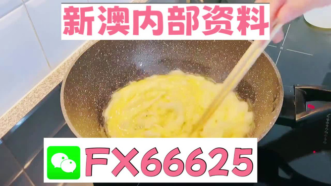澳門九點(diǎn)半9點(diǎn)半網(wǎng)站——探索與體驗(yàn)，澳門九點(diǎn)半網(wǎng)站，探索與體驗(yàn)之旅