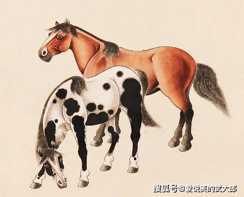 香港四不像一肖生肖圖，揭秘背后的神秘文化，香港四不像一肖生肖圖，神秘文化背后的揭秘