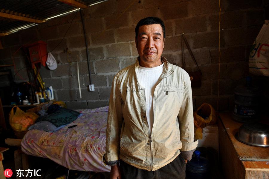 博科圣地組織，深度解析與理解，博科圣地組織深度解析與探究