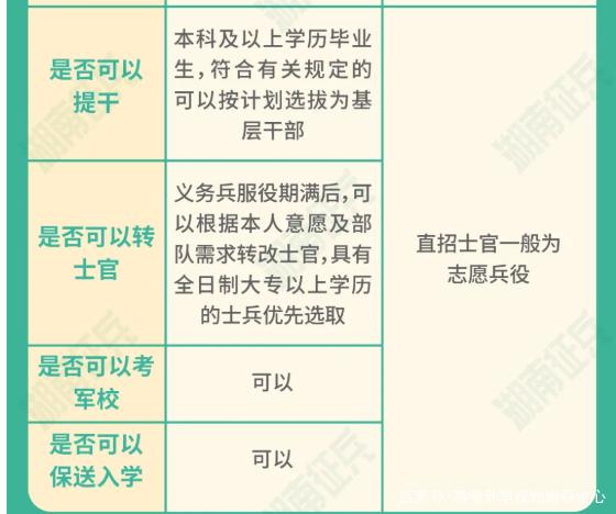 士官直招與義務(wù)兵的區(qū)別，深入了解軍隊招募制度，直招士官與義務(wù)兵招募制度深度解析，軍隊招募制度詳解