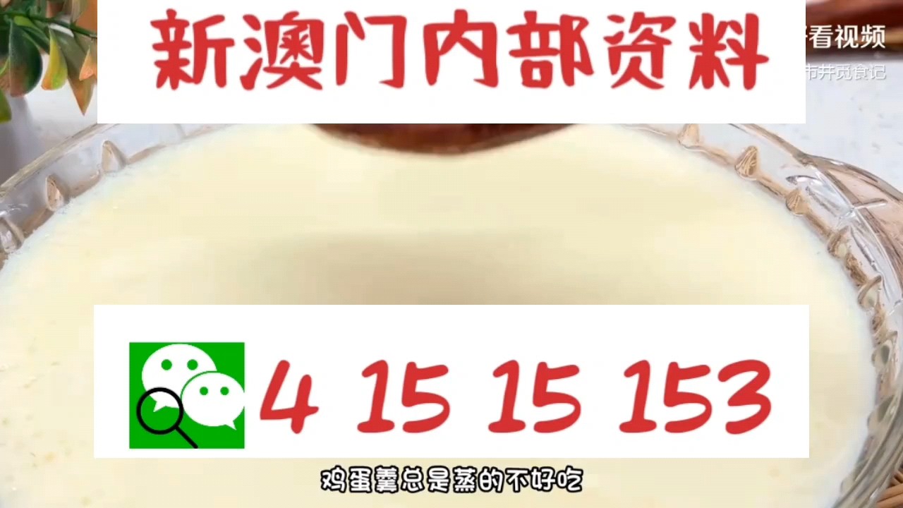 新澳門中特網(wǎng)中特馬，探索與解析，澳門中特馬探索與解析指南