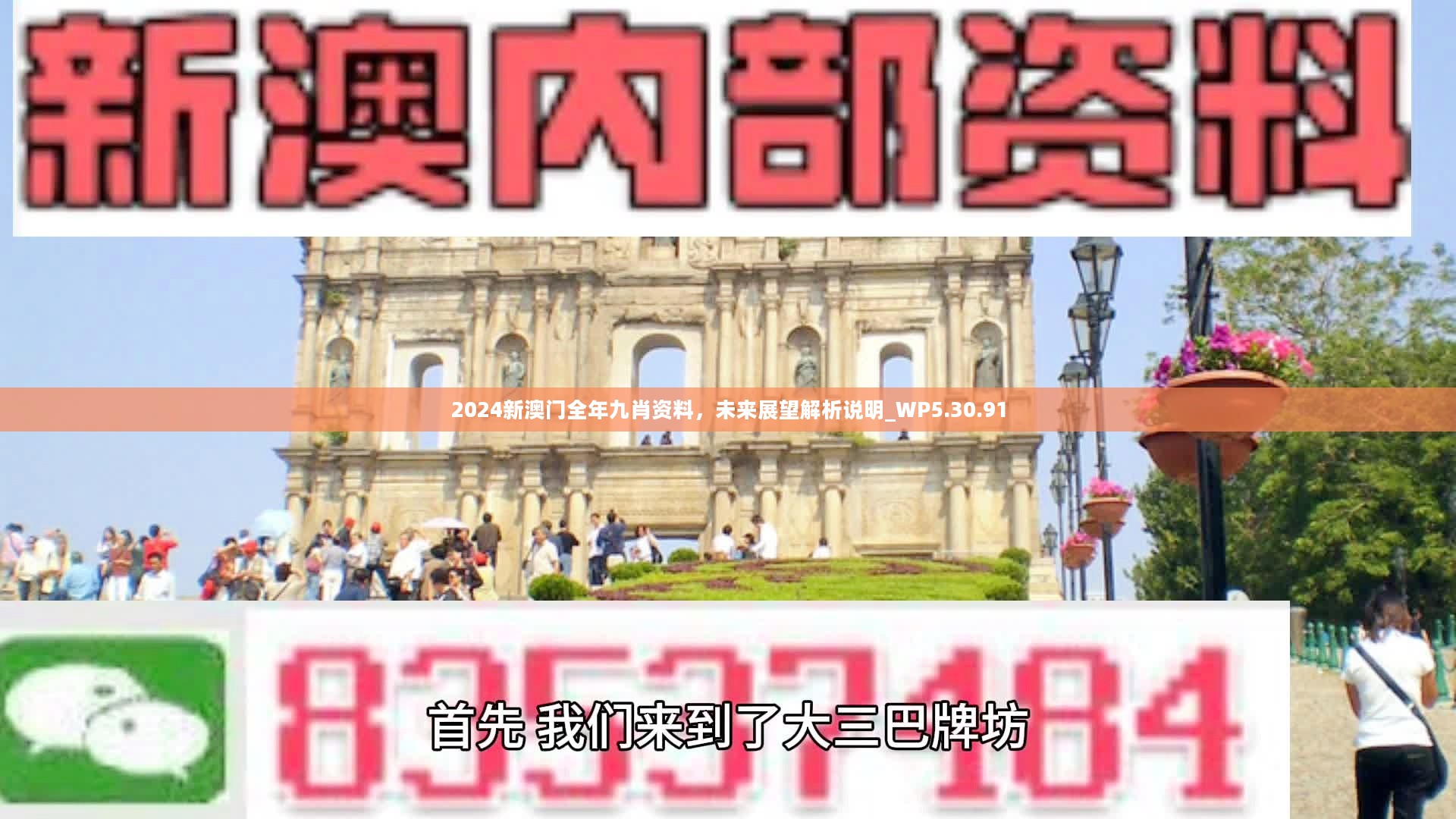 新澳門精準(zhǔn)九肖，揭秘預(yù)測技巧與策略，揭秘新澳門精準(zhǔn)九肖預(yù)測技巧與策略