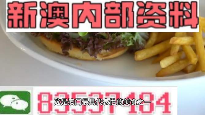 新澳2024生肖最新資料解析與預(yù)測(cè)，新澳2024生肖解析與預(yù)測(cè)報(bào)告