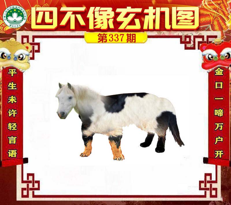 王中王四不像肖一肖中特，探索神秘現(xiàn)象背后的真相，神秘現(xiàn)象背后的真相探索，王中王四不像肖一肖中特揭秘