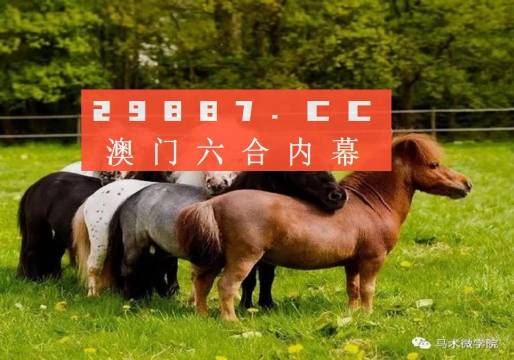 王中王四不像正版一肖中特圖，揭秘背后的秘密與獨(dú)特魅力，揭秘王中王四不像正版一肖中特圖的獨(dú)特魅力和背后秘密