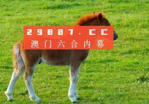澳門答家婆一肖一馬一中一特，揭秘背后的秘密與獨特文化魅力，澳門文化魅力深度解析，答家婆一肖一馬一中一特的獨特傳統(tǒng)與秘密