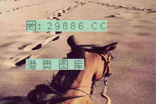 香港特馬資料王中王24期，深度解析與探索，香港特馬資料王中王深度解析與探索，第24期探索之旅