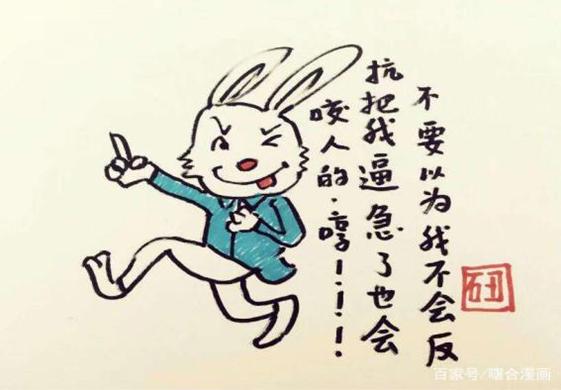 一肖不中賠多少倍，深度解析與策略建議，一肖不中賠倍深度解析及策略建議
