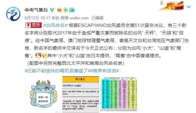 新澳門必中三肖三碼三期必開劉伯，揭秘彩票背后的秘密與策略，揭秘彩票背后的秘密與策略，劉伯的新澳門三期必開三肖三碼預(yù)測技巧
