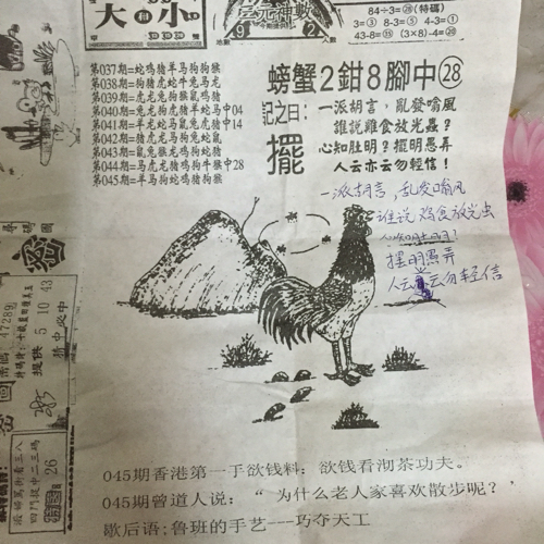 揭秘林中的高手王中王猜一肖的奧秘，揭秘林中之王王中王與生肖奧秘探秘