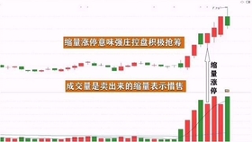 王中王一肖平碼，揭秘背后的故事與SEO策略，王中王一肖平碼背后的故事與SEO策略揭秘