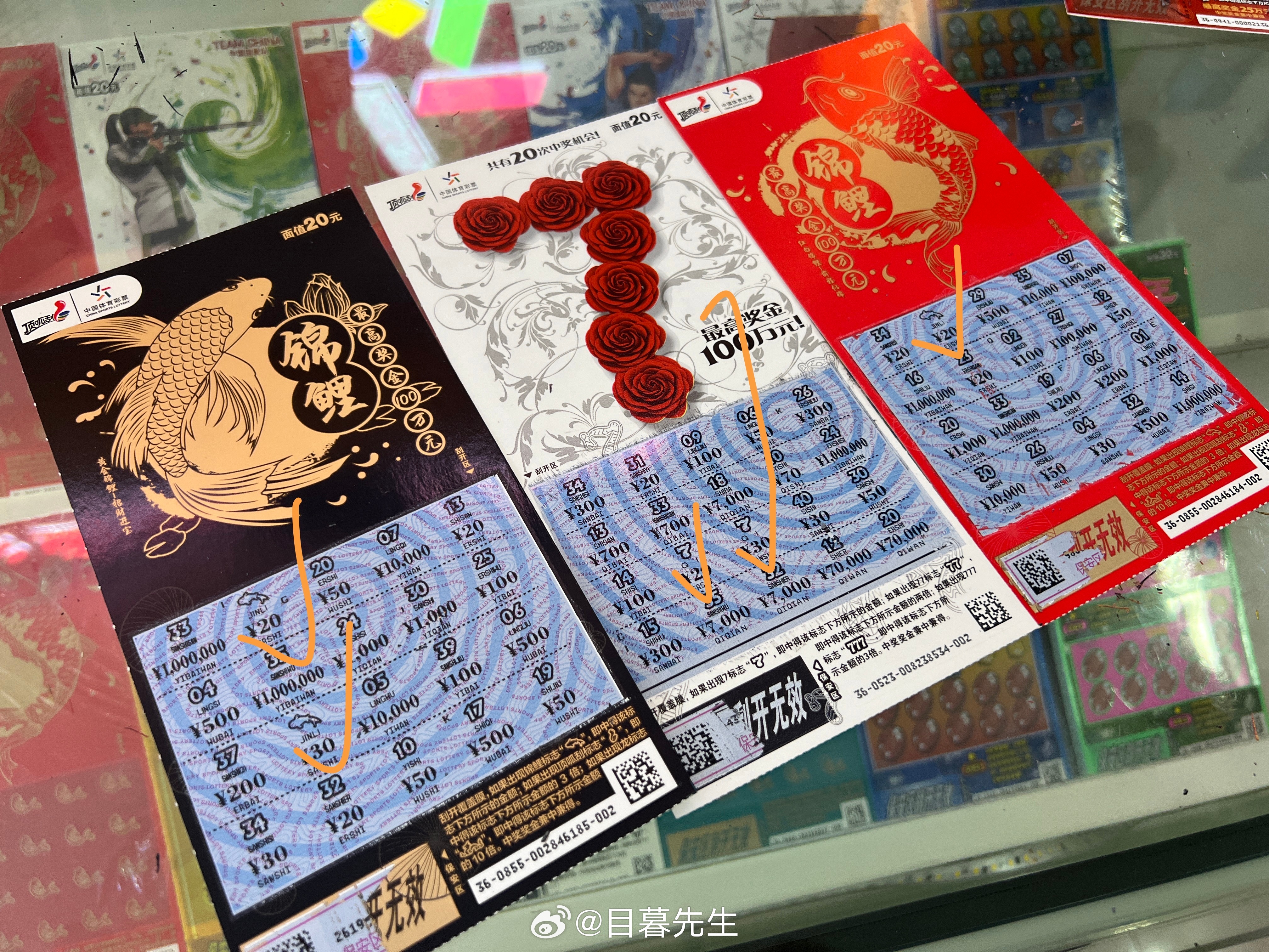 全年王中王一肖中特，深度解析與預(yù)測，全年王中王一肖深度解析與預(yù)測，揭秘特肖趨勢