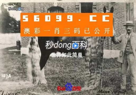 澳門王中王心水王中王，探索與解析，澳門王中王心水奧秘，深度探索與解析