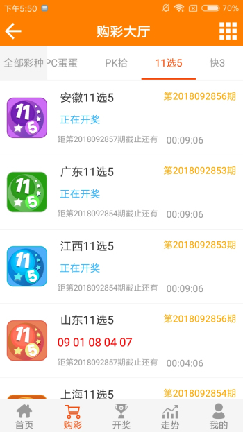 王中王黃金一肖二碼資料，深度解析與SEO優(yōu)化，王中王黃金一肖二碼資料深度解析與SEO優(yōu)化技巧