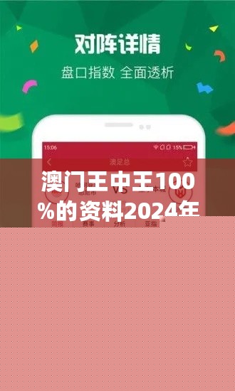 王中王網(wǎng)站一肖，探索與SEO優(yōu)化策略，王中王網(wǎng)站一肖，深度探索與SEO優(yōu)化策略實(shí)踐