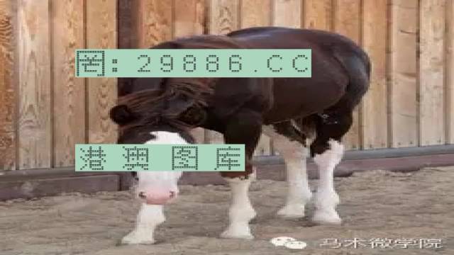 揭秘446999一肖中特馬之秘密，掌握中獎(jiǎng)玄機(jī)！，揭秘特馬中獎(jiǎng)玄機(jī)，446999一肖中的秘密大揭秘！