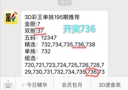 王中王一肖中特4993，深度解析與探索，王中王一肖中特4993深度解析與探索報(bào)告