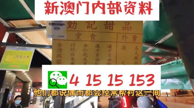 新澳門單雙肖期期，探索與解析，澳門單雙肖期期探索與解析指南