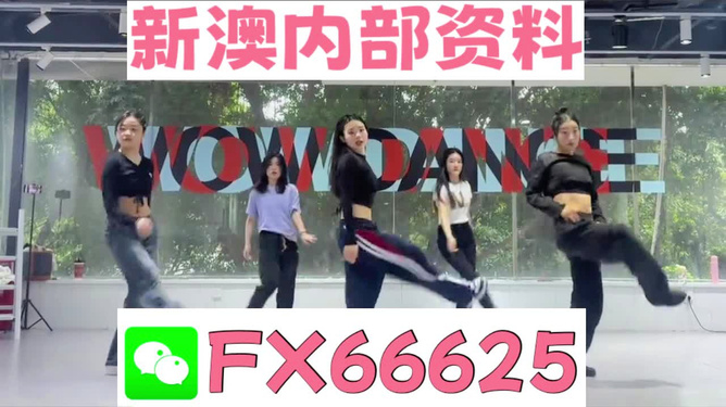 新澳精準(zhǔn)資料免費提供，探索與實踐的指南，新澳精準(zhǔn)資料免費分享，探索與實踐的導(dǎo)航指南