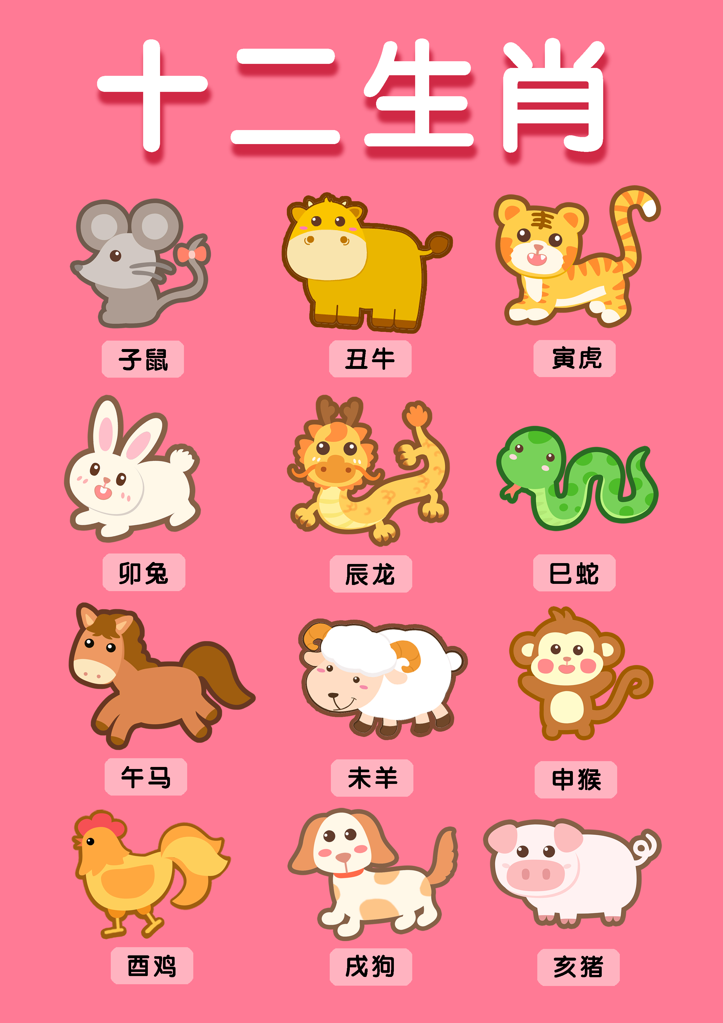 一肖有哪些生肖——生肖文化深度解析，生肖文化深度解析，揭秘十二生肖中的一肖奧秘